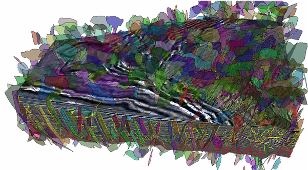 2_Picture5-600-600